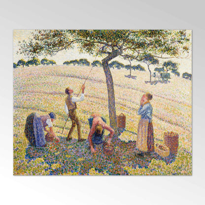 Récolte des pommes