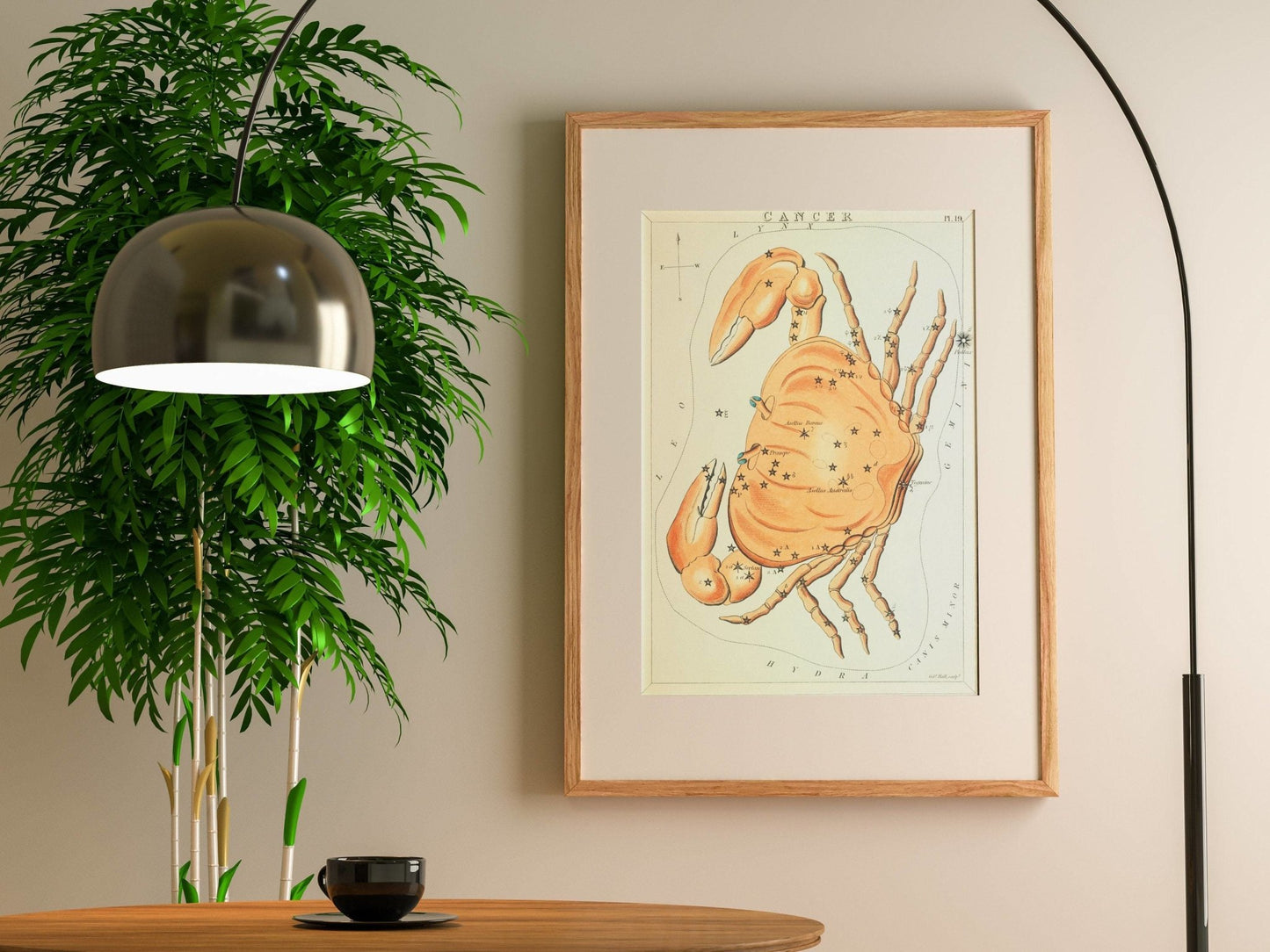 Cancer Zodiac Sign: Constellation of a Crab