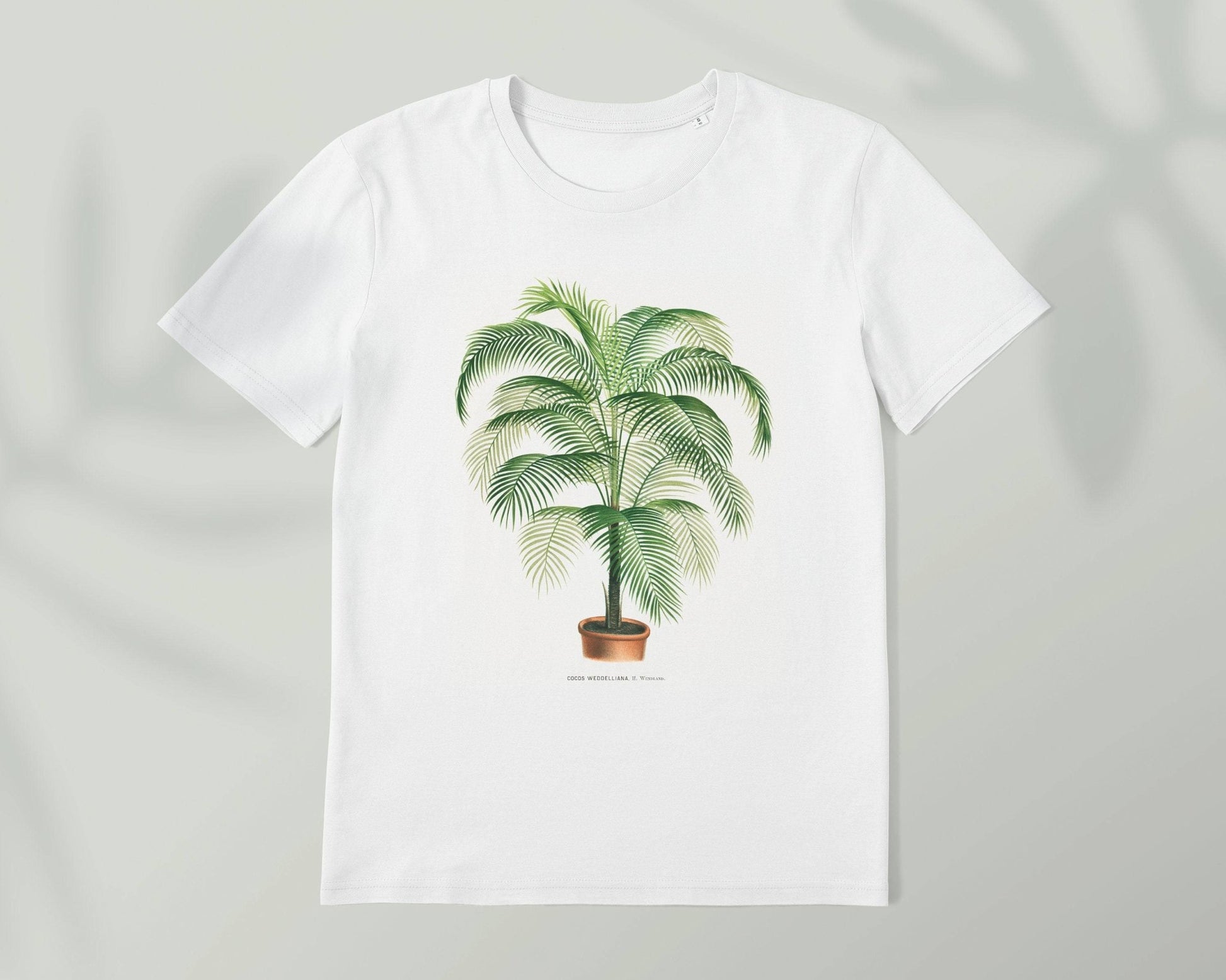 Coconut Palm Tree - Vintage Botanical Print T-Shirt - Pathos Studio -