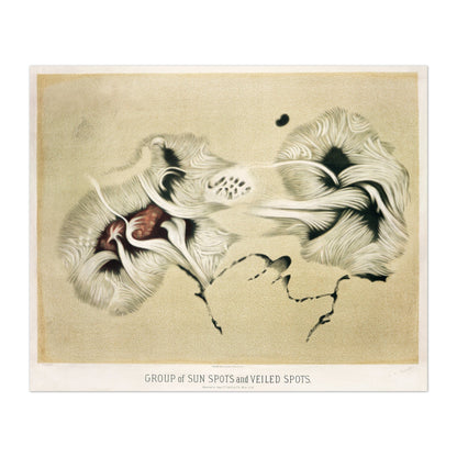Group Of Sun Spots and Veiled Spots