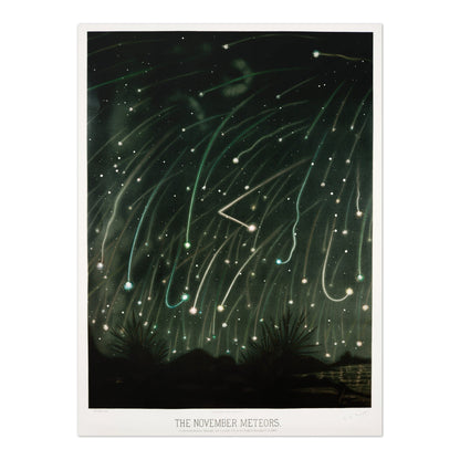 The November Meteors