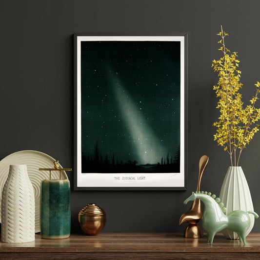 The Zodiacal Light