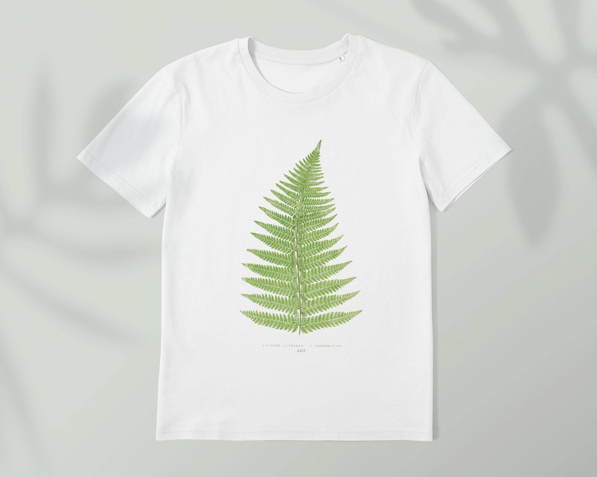Fern Leaf - Vintage Botanical Print T-Shirt - Pathos Studio -