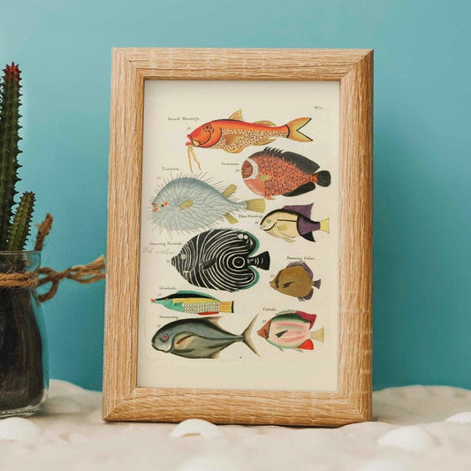 Fisch aus Ostindien