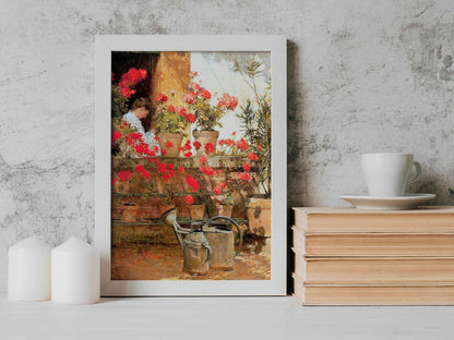 Geraniums