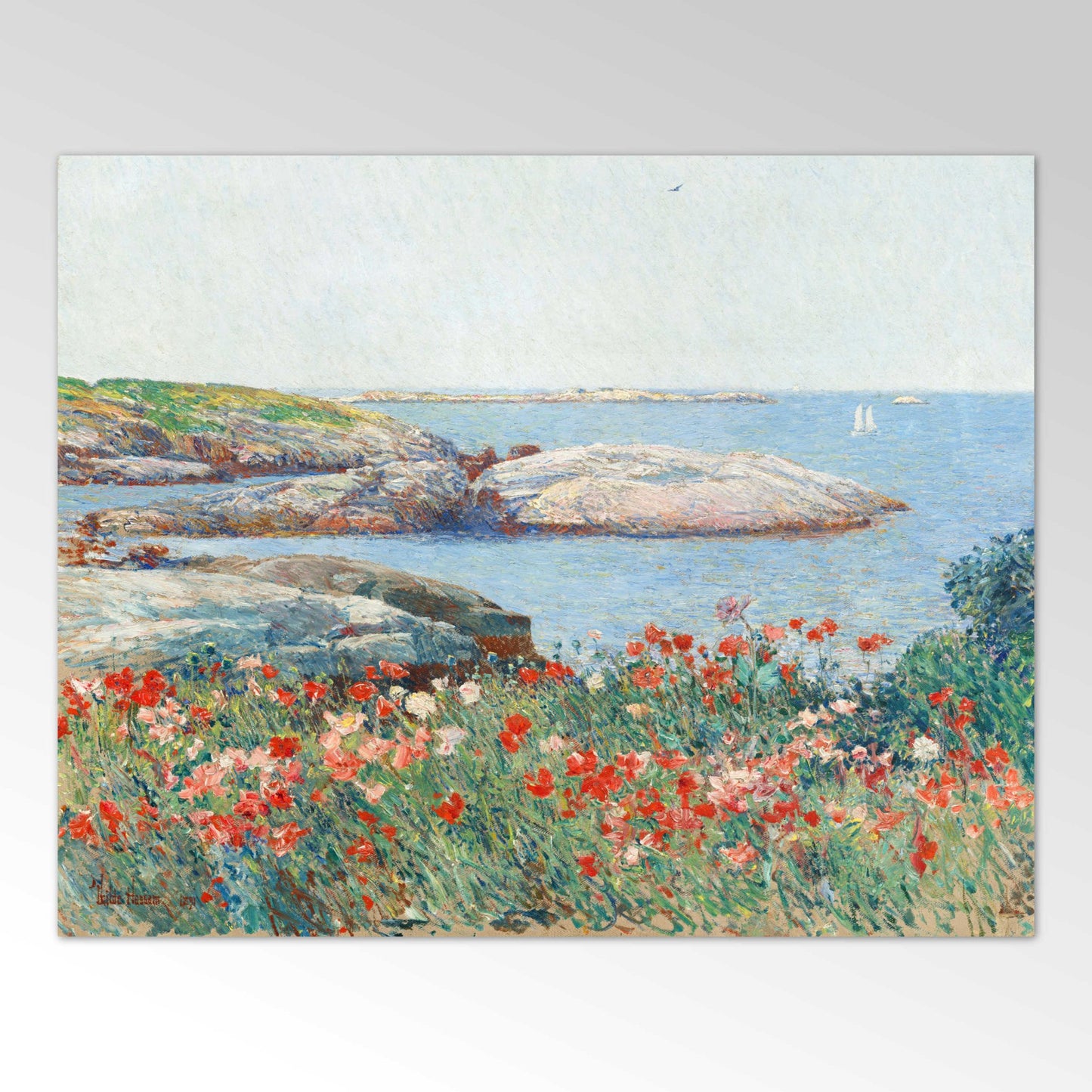 Mohnblumen, Isles of Shoals