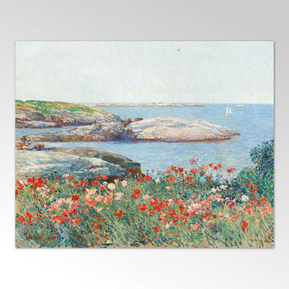 Mohnblumen, Isles of Shoals