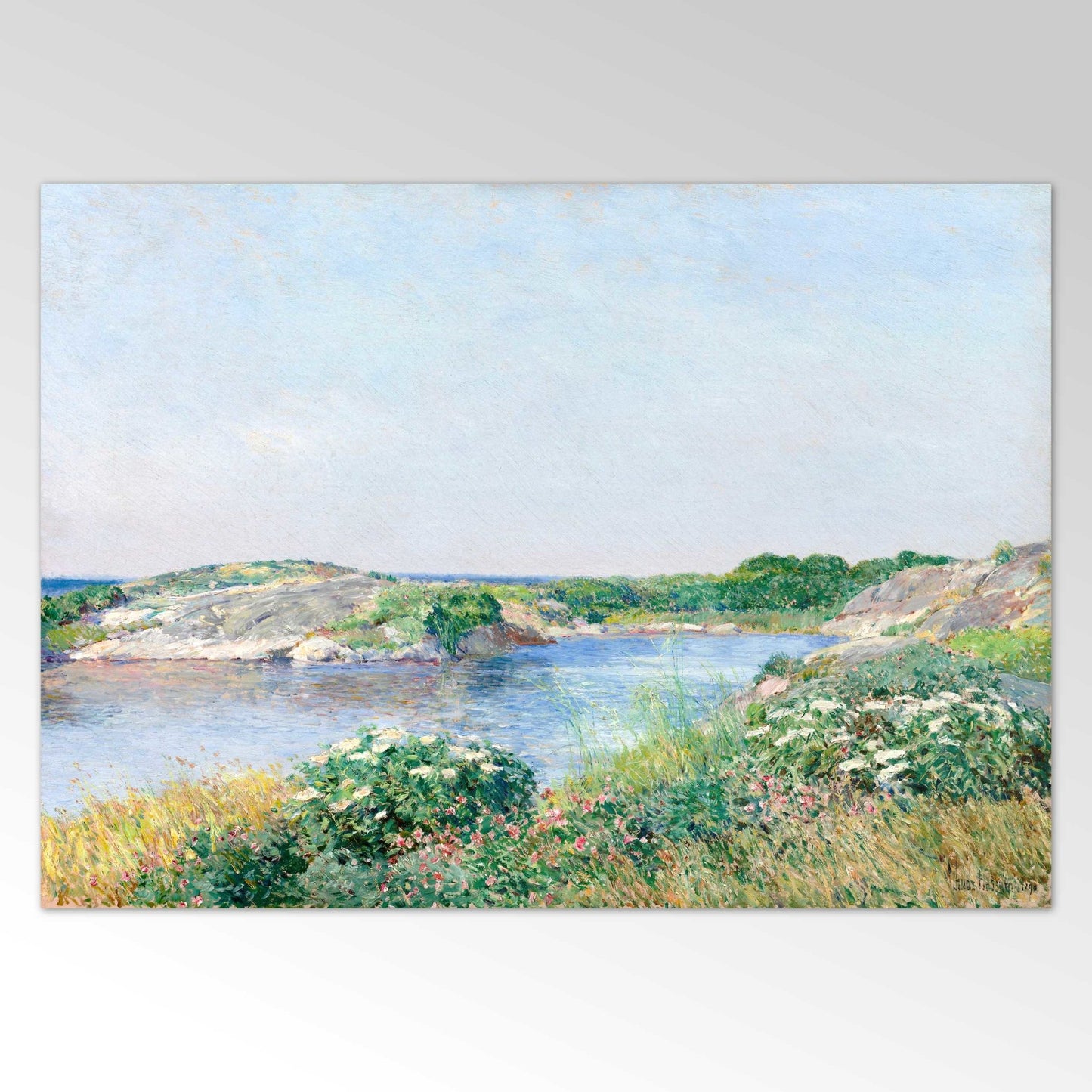 Der kleine Teich, Appledore