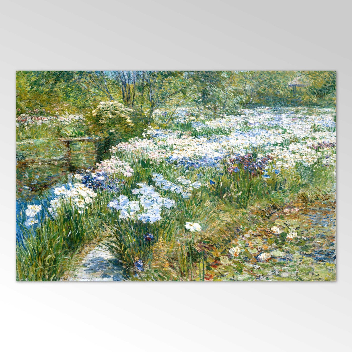 Le jardin d'eau