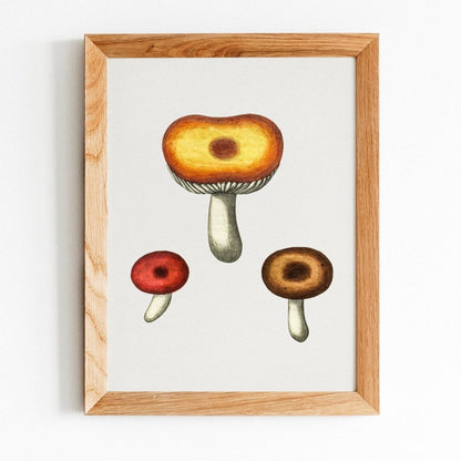 Galerina-Pilz (Vintage-Illustration aus „Medical Botany“)
