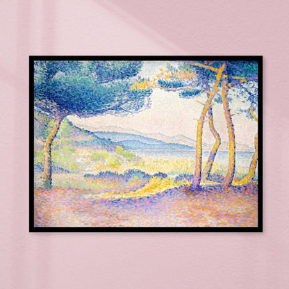 Pines Along the Shore