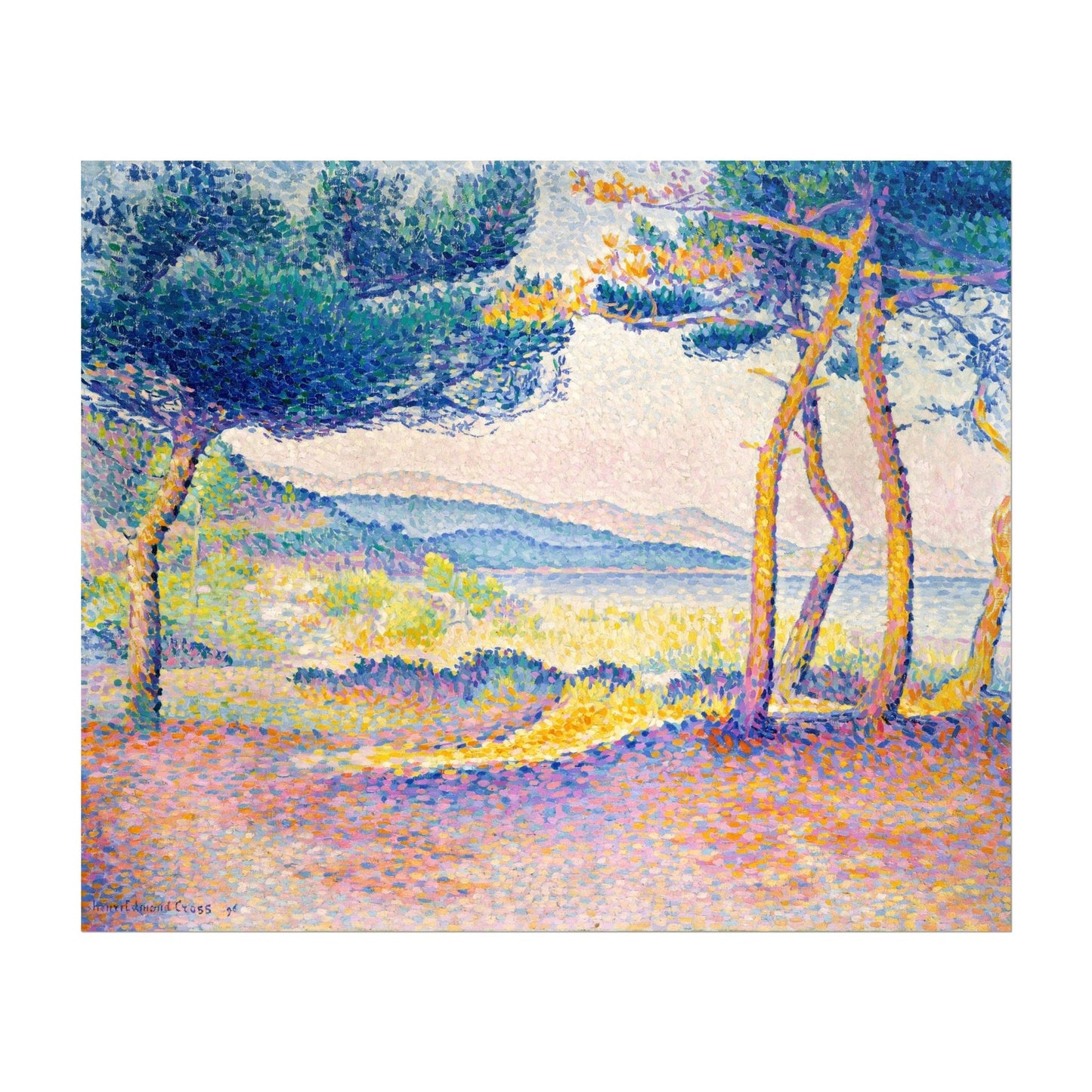 Pines Along the Shore