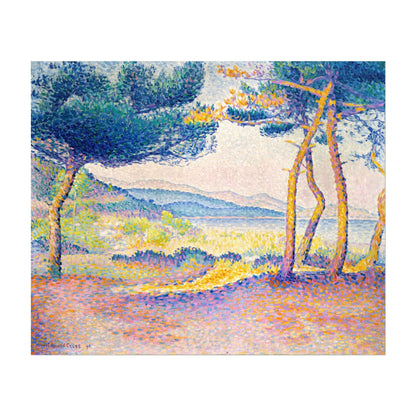 Pines Along the Shore