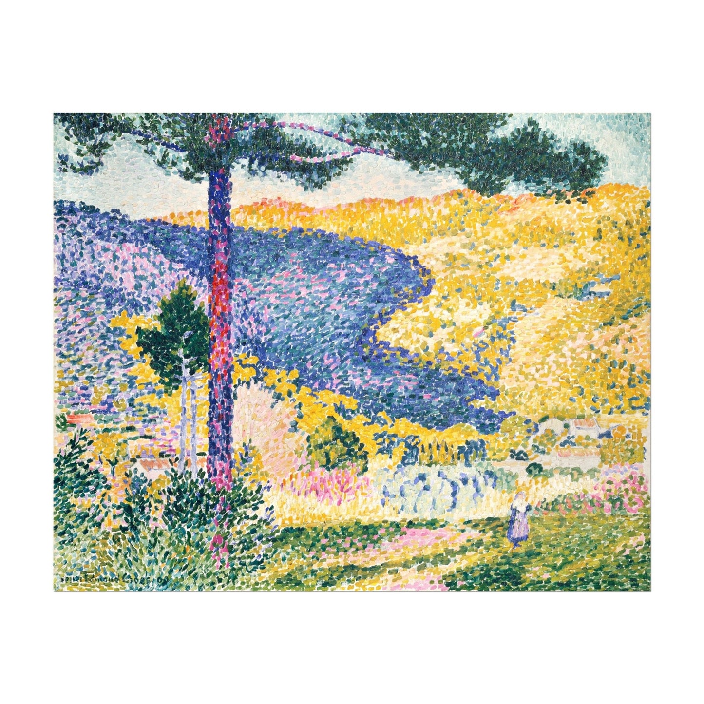 Valley with Fir: Shade on the Mountain