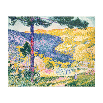 Valley with Fir: Shade on the Mountain