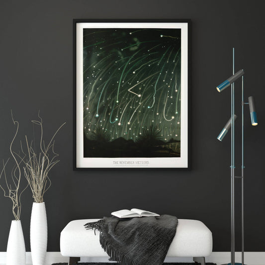 The November Meteors