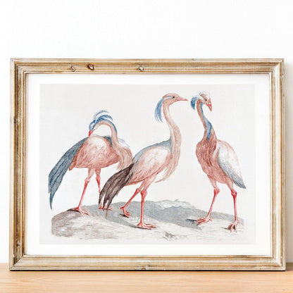 JOHAN TEYLER – Miss Crane Birds (À La Poupée)