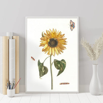 Sunflower, Caterpillar & Two Butterflies