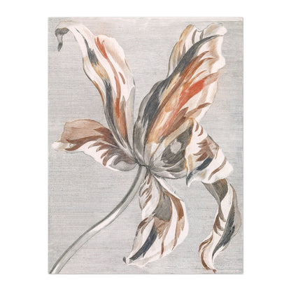 Tulipe