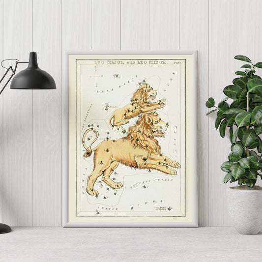 Leo Zodiac Sign: Constellation of Lion and Cub