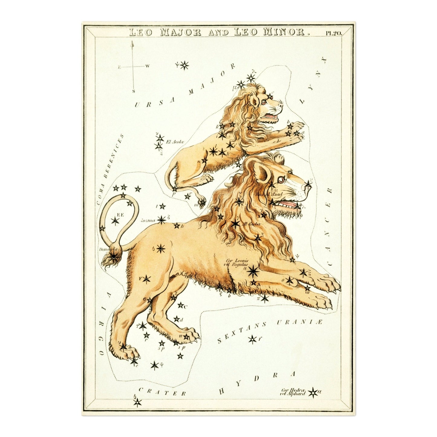 Leo Zodiac Sign: Constellation of Lion and Cub