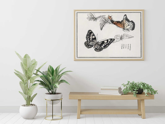 Schmetterlinge Illustration