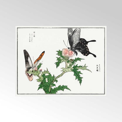 Illustration de papillon et de fleur