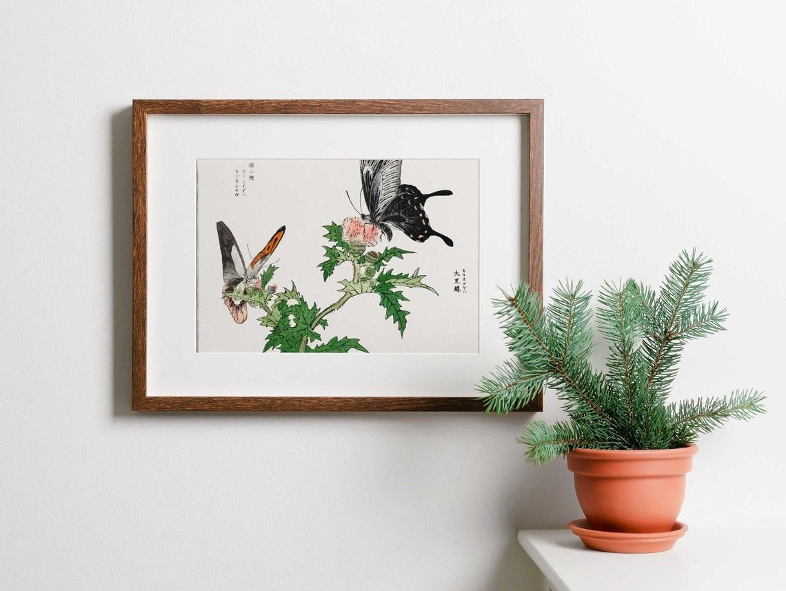 Illustration de papillon et de fleur