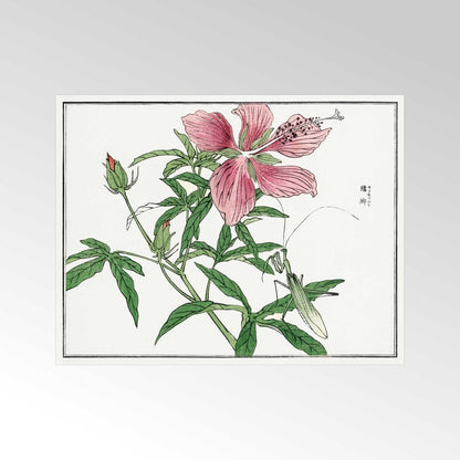 Blumenillustration