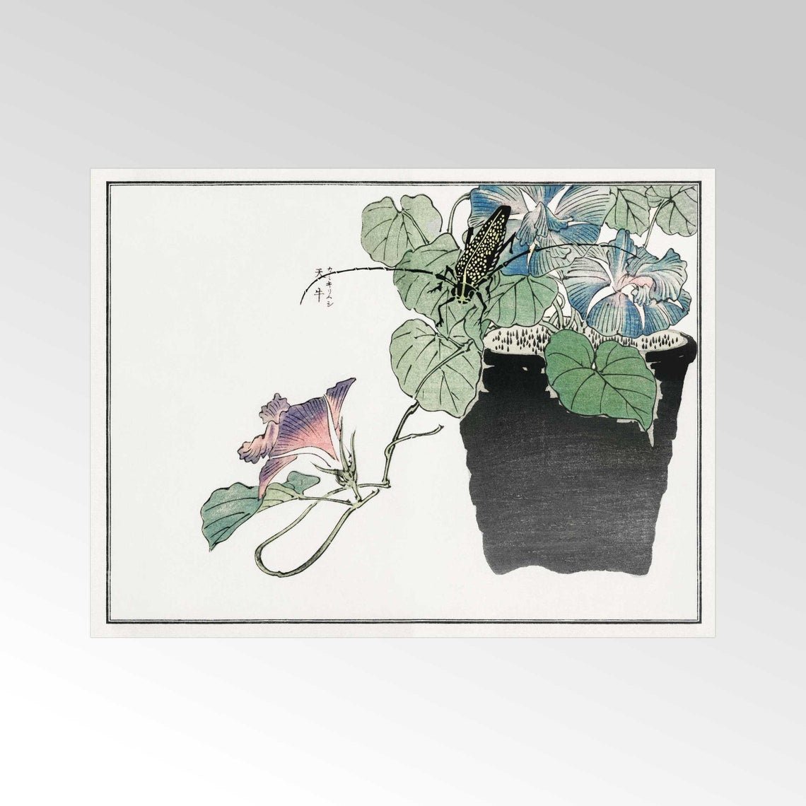 Japanischer Papierschneiderkäfer