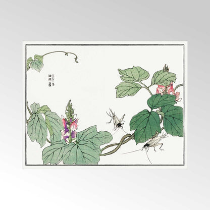 Blatt- und Blumenillustration