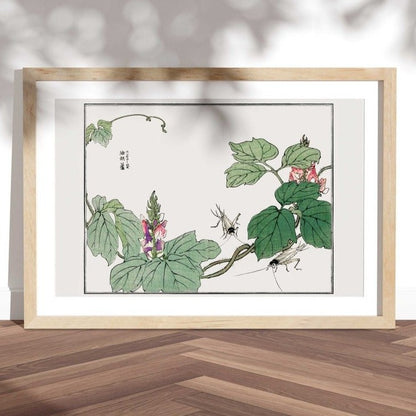 Blatt- und Blumenillustration