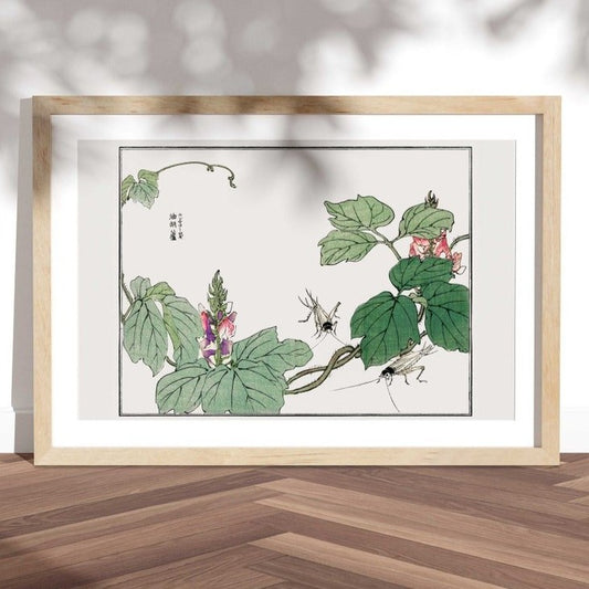 Blatt- und Blumenillustration