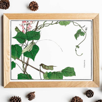 Heuschrecke auf einem Blatt Illustration