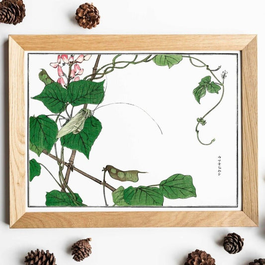 Heuschrecke auf einem Blatt Illustration