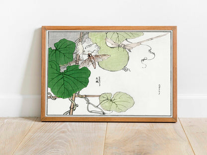 Moth Illustration