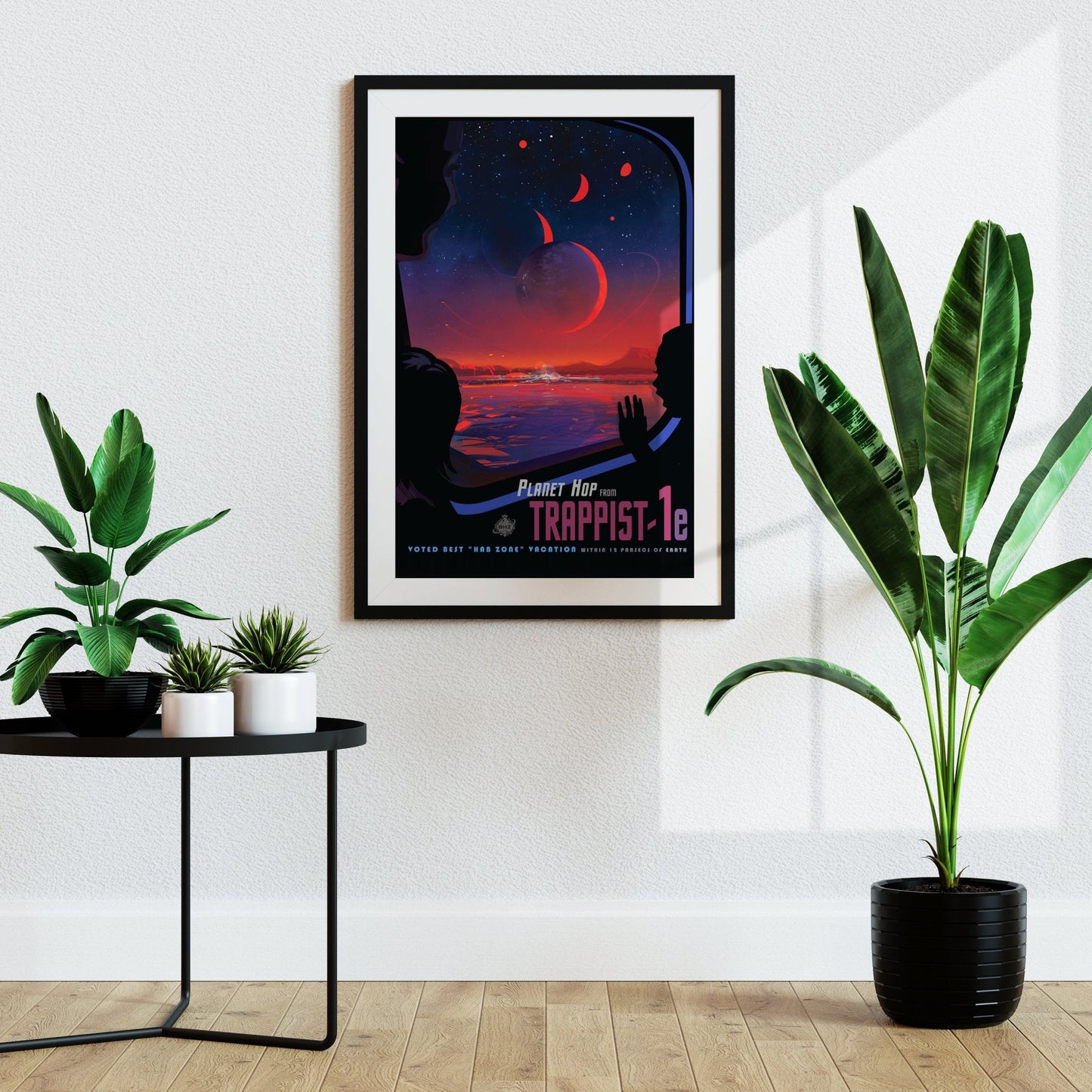 Visions of the Future: Trappist-1e