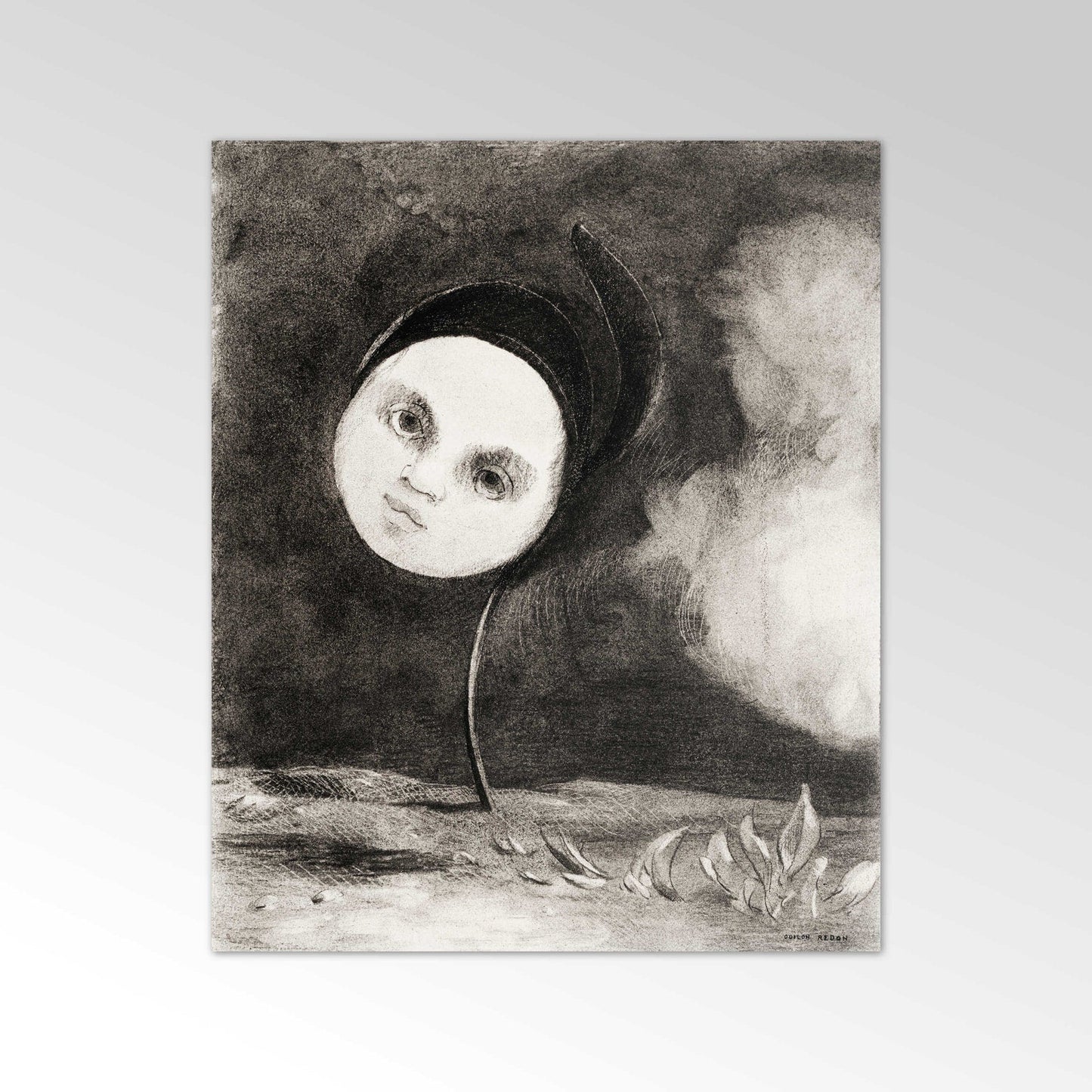 Fleur étrange (Petite sœur des pauvres)