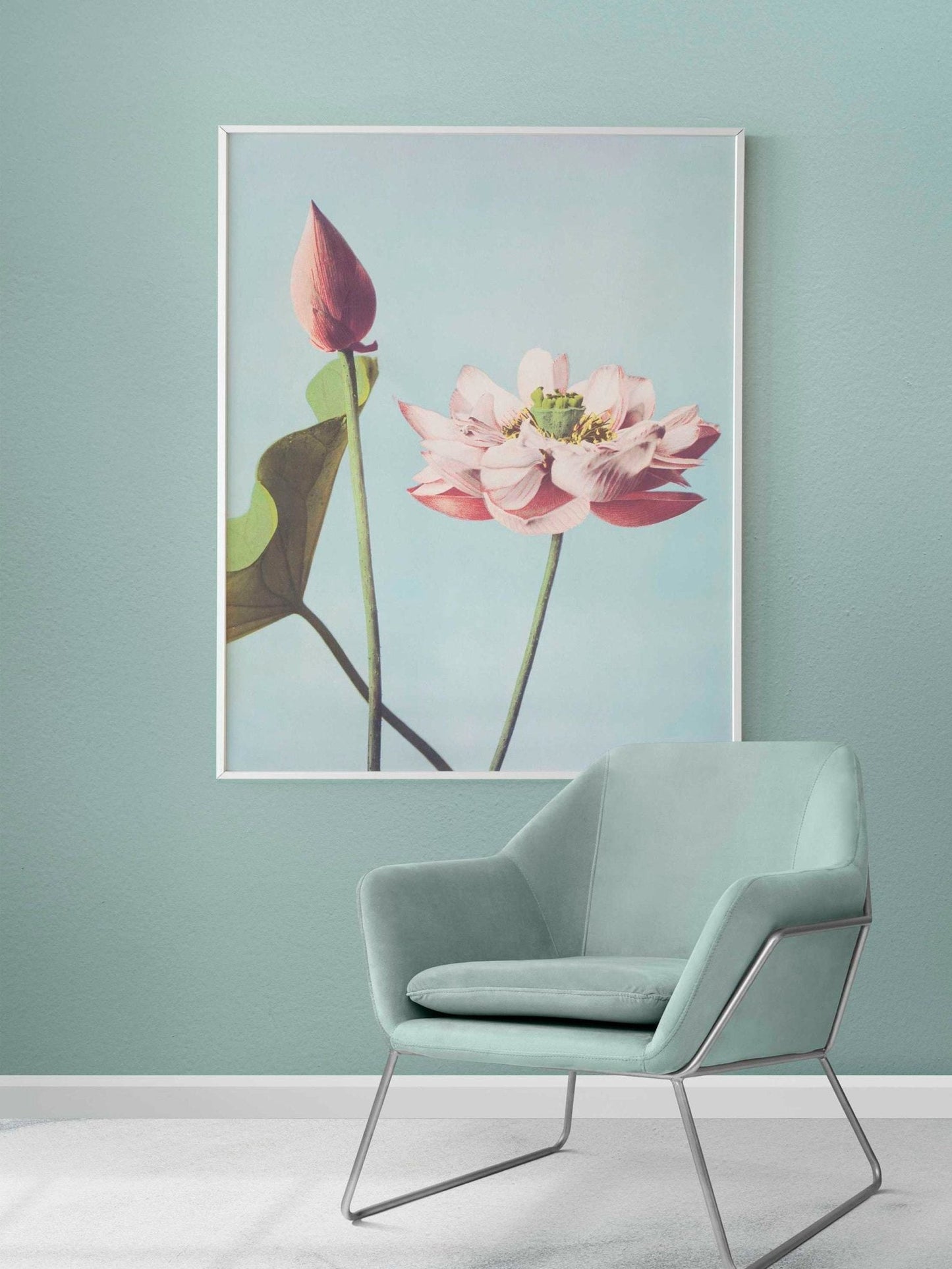 Lotus Flowers