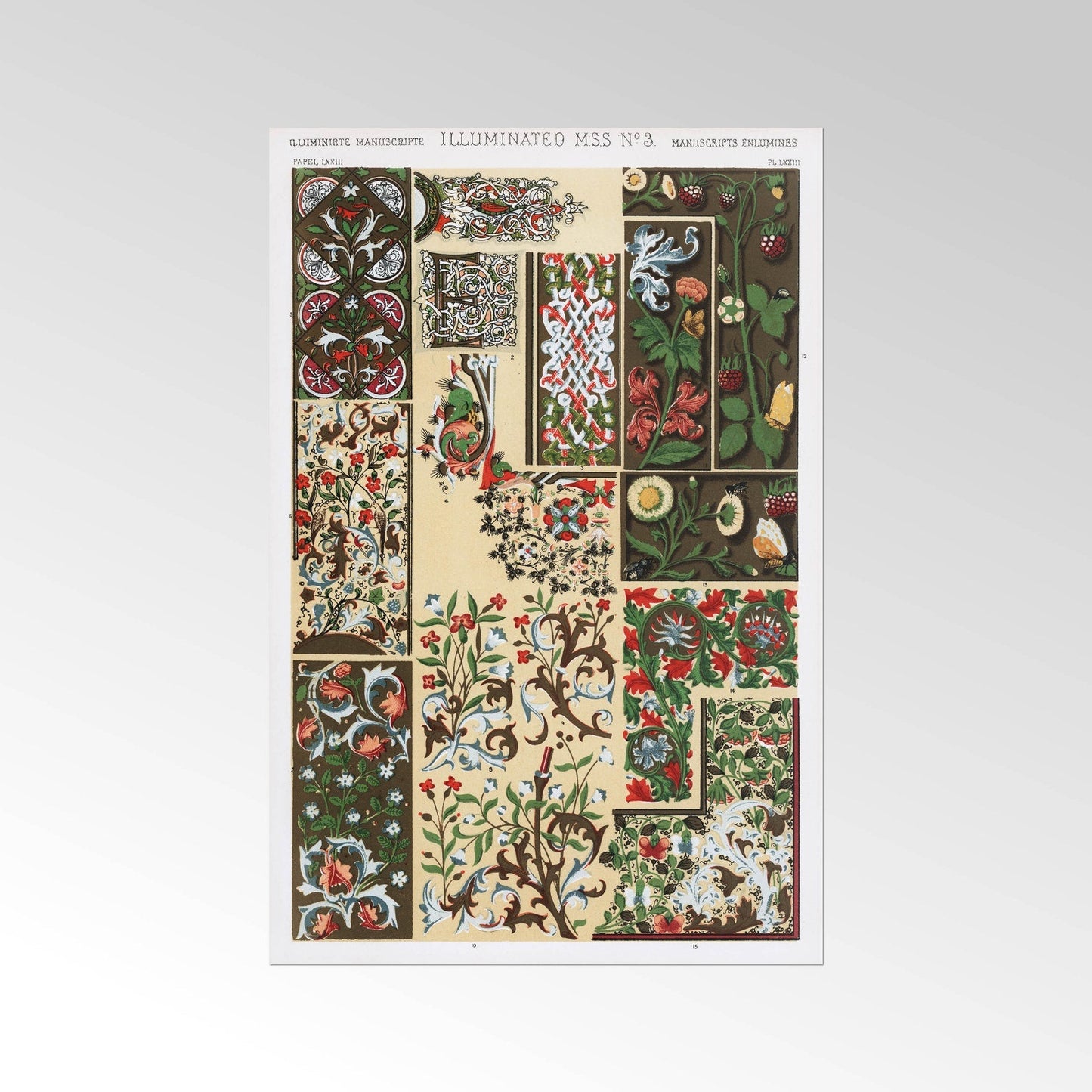 Illuminierte Handschrift Nr. 3 aus „The Grammar Of Ornament“