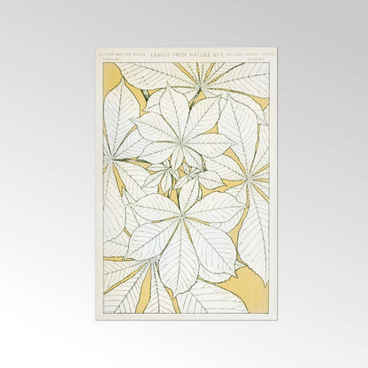 Leaves From Nature No. 1 from 'The Grammar Of Ornament'