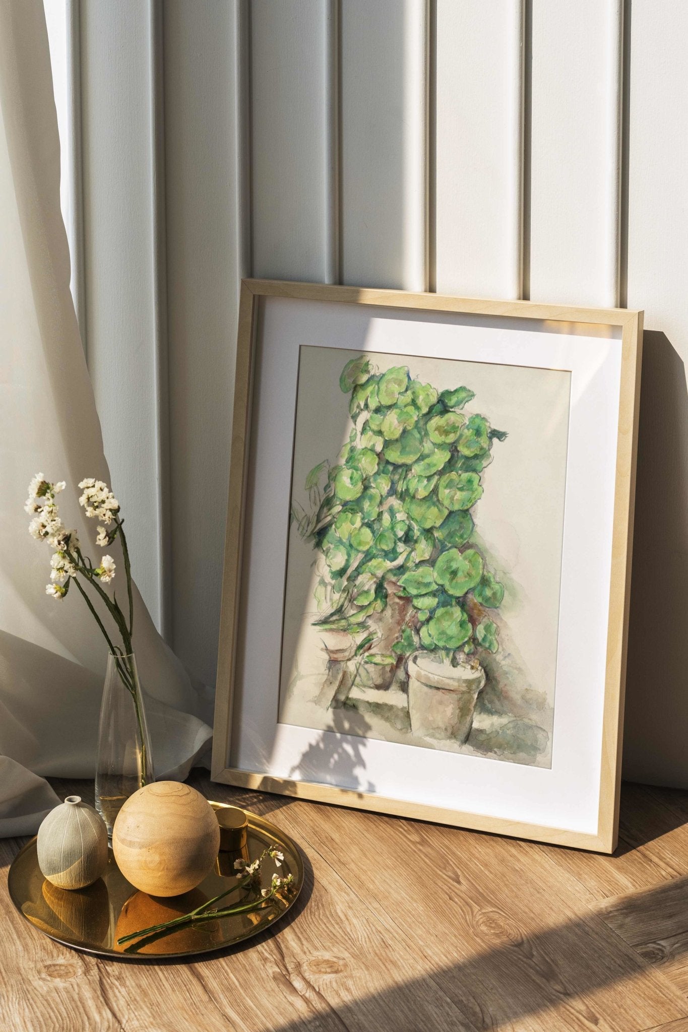 Geraniums