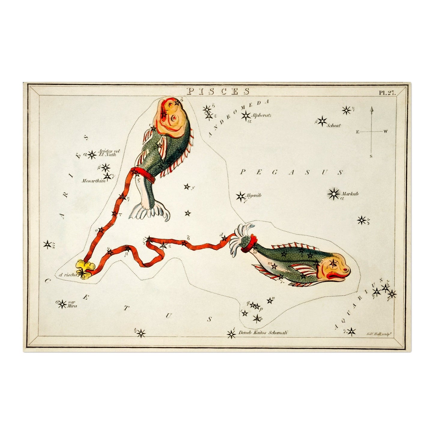 Pisces Zodiac Sign: Constellation of Fish