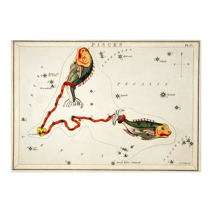 Pisces Zodiac Sign: Constellation of Fish