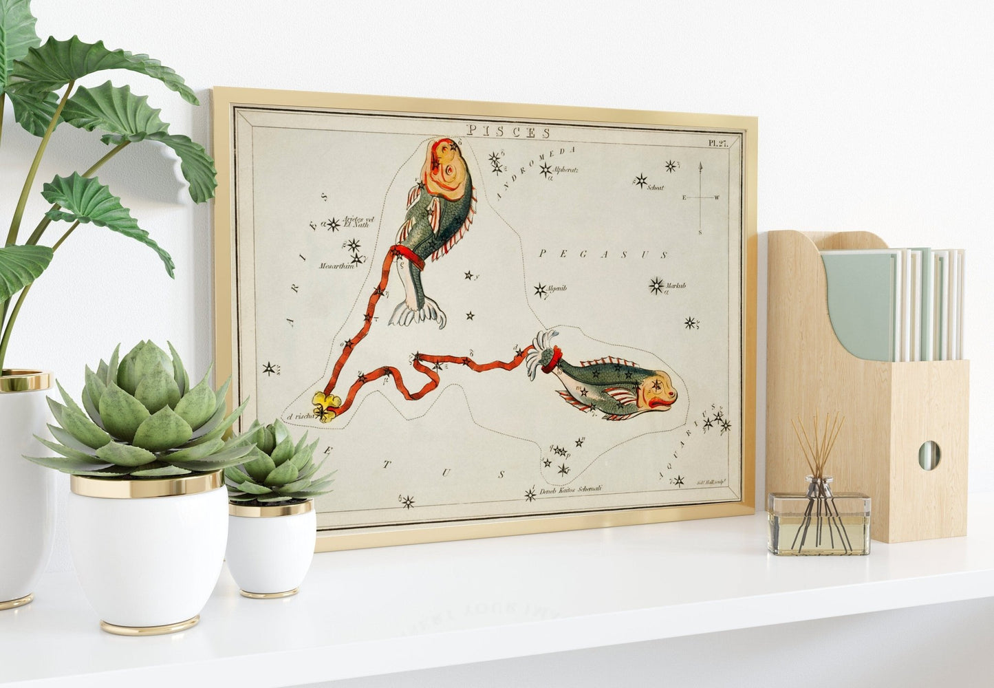 Pisces Zodiac Sign: Constellation of Fish