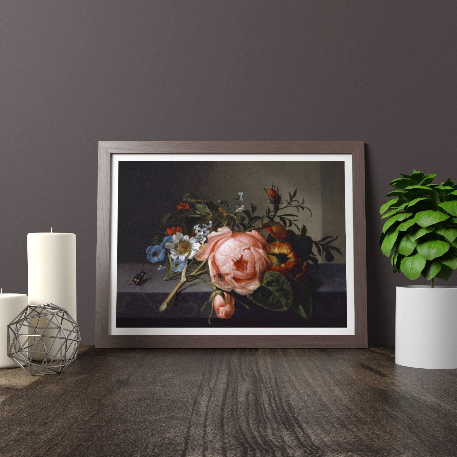 RACHEL RUYSCH - Still Life With A Rose Branch, Beetle And Bee - Pathos Studio - Art Prints