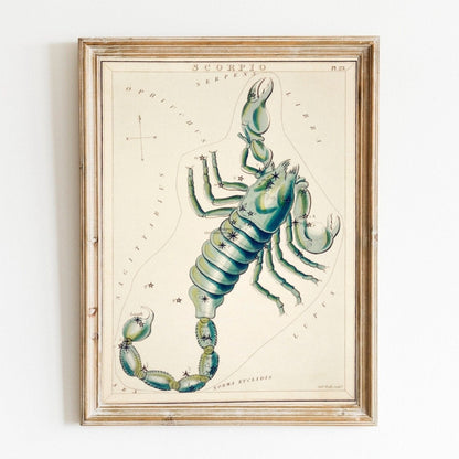 Scorpio Zodiac Sign: Constellation of a Scorpion
