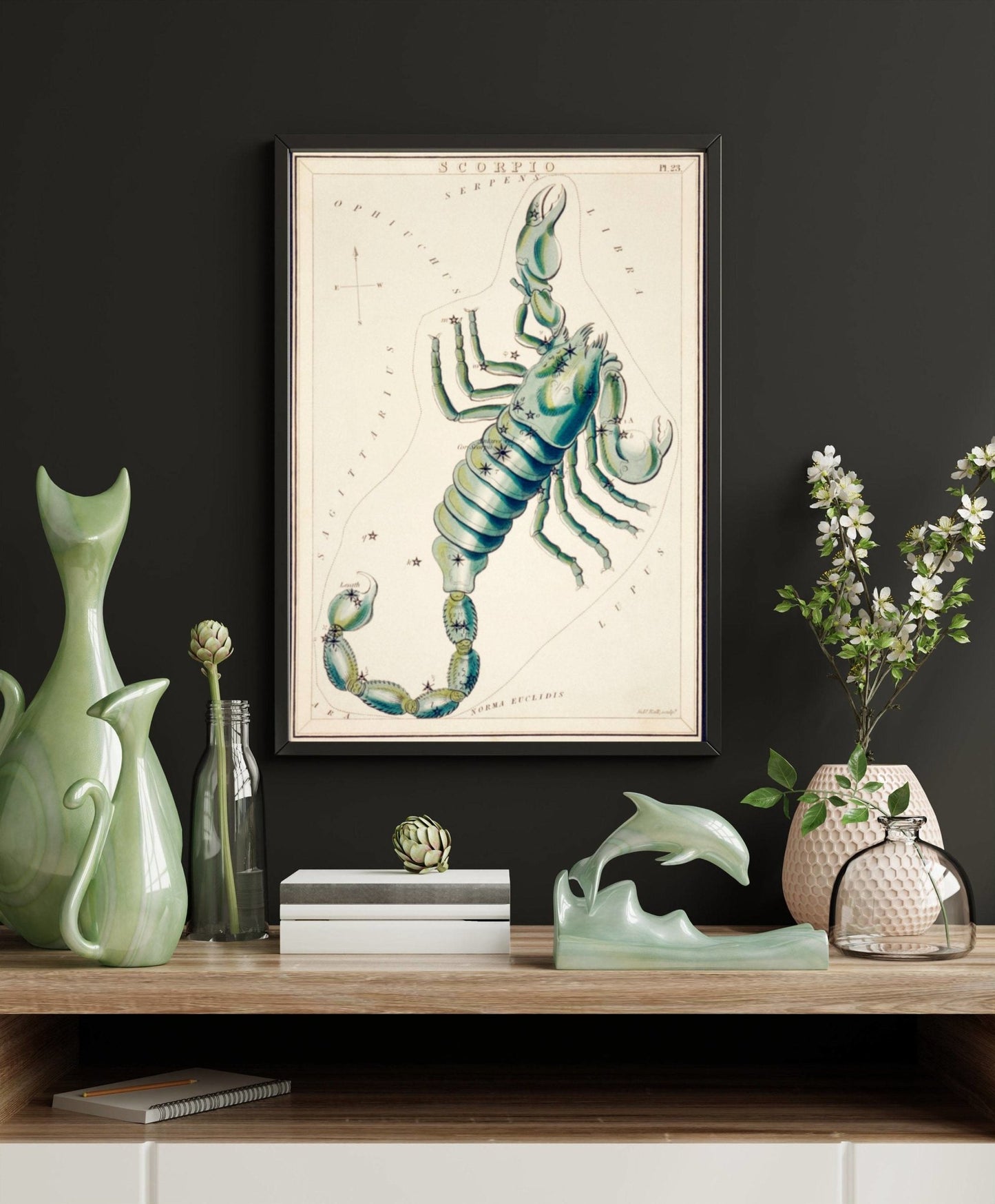 Scorpio Zodiac Sign: Constellation of a Scorpion