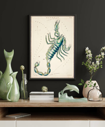 Scorpio Zodiac Sign: Constellation of a Scorpion