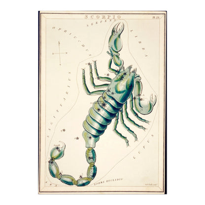 Scorpio Zodiac Sign: Constellation of a Scorpion